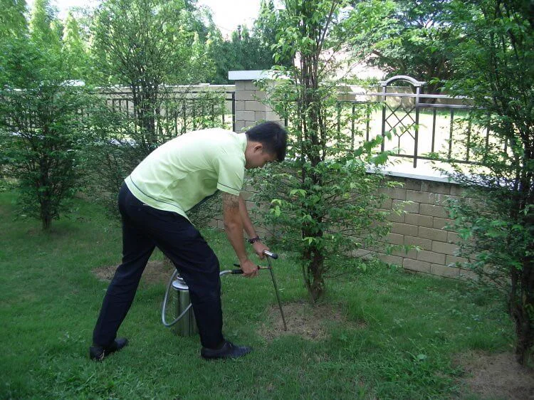 Mosquito misting treatment applied around a Chiang Mai garden by Green Nano Thai
