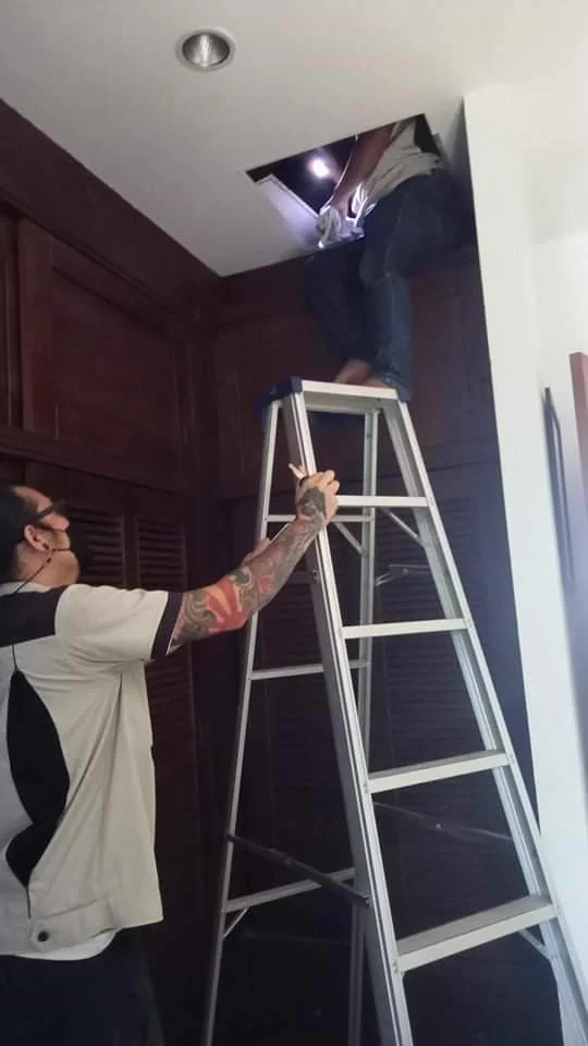 Wooden structure inspection and rodent damage assessment